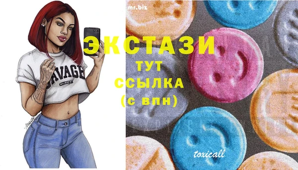 индика Баксан