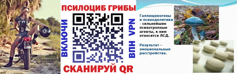 наркотики  Макарьев  Галлюциногенные грибы Cubensis 